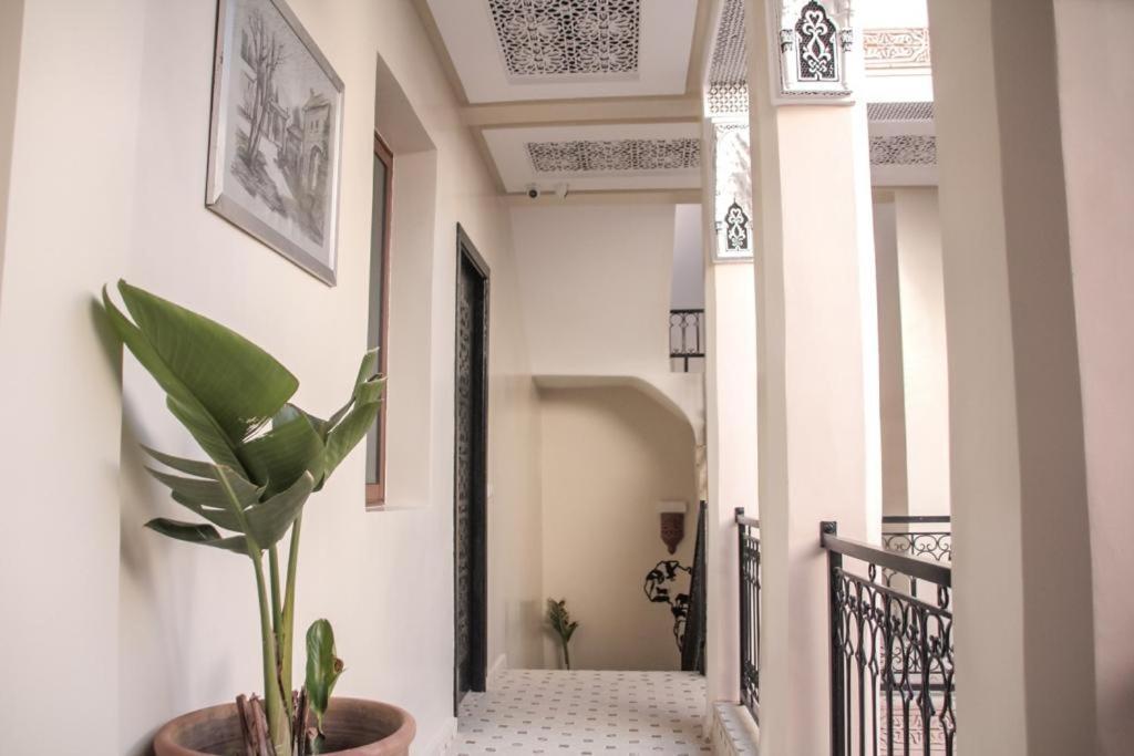 Riad Amazing Marrakesh Luaran gambar